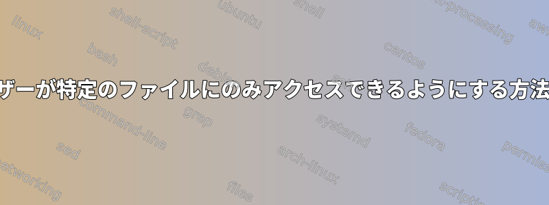 ユーザーが特定のファイルにのみアクセスできるようにする方法は？