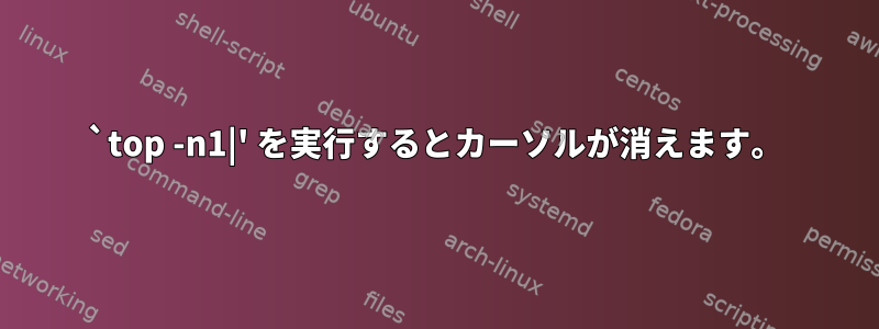 `top -n1|' を実行するとカーソルが消えます。