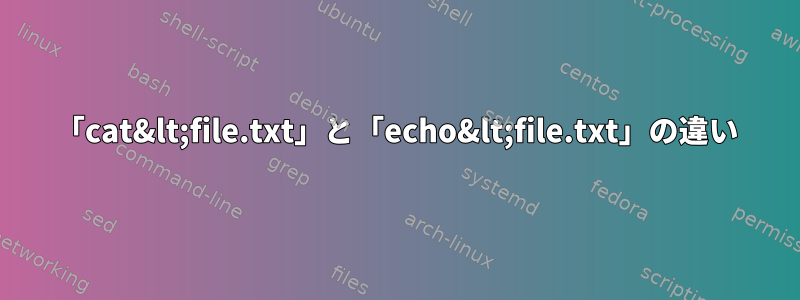 「cat&lt;file.txt」と「echo&lt;file.txt」の違い