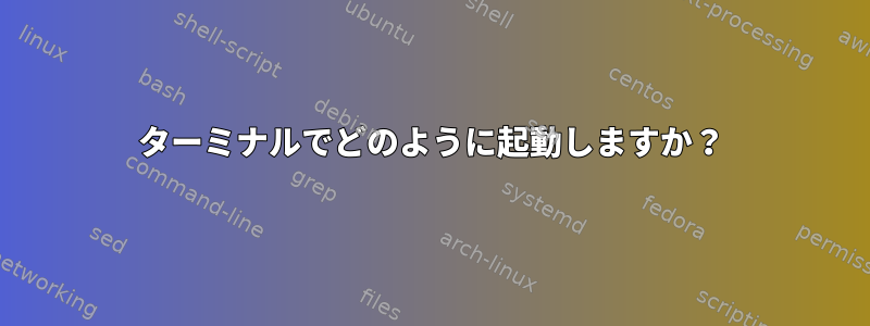 ターミナルでどのように起動しますか？