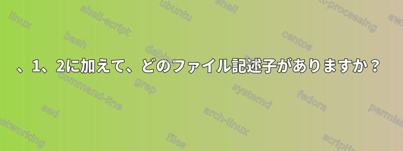 0、1、2に加えて、どのファイル記述子がありますか？