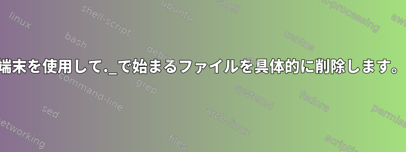 端末を使用して._で始まるファイルを具体的に削除します。