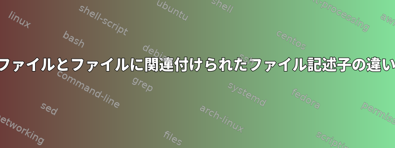 ファイルとファイルに関連付けられたファイル記述子の違い