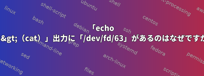 「echo 123&gt;（cat）」出力に「/dev/fd/63」があるのはなぜですか？