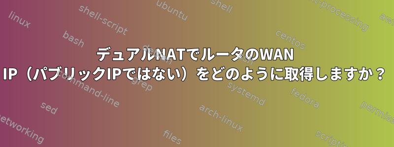 デュアルNATでルータのWAN IP（パブリックIPではない）をどのように取得しますか？