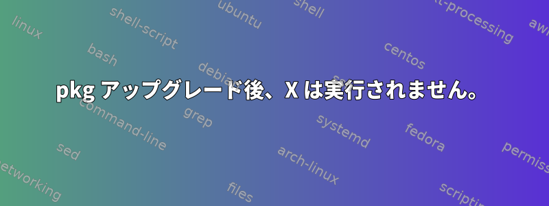 pkg アップグレード後、X は実行されません。