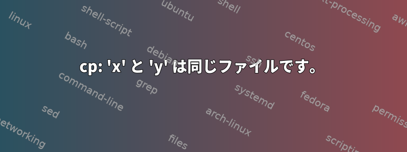 cp: 'x' と 'y' は同じファイルです。