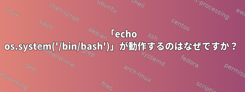 「echo os.system('/bin/bash')」が動作するのはなぜですか？