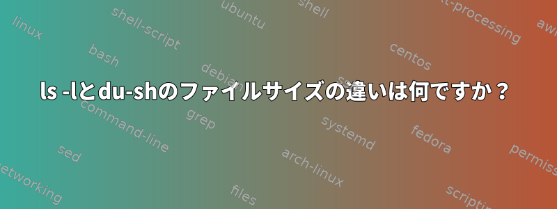 ls -lとdu-shのファイルサイズの違いは何ですか？