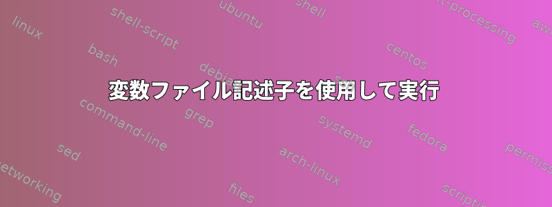 変数ファイル記述子を使用して実行