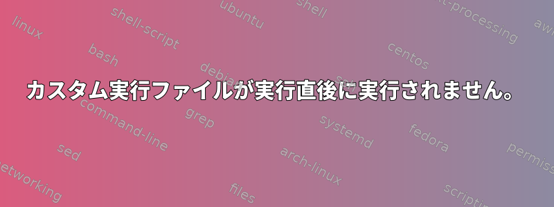 カスタム実行ファイルが実行直後に実行されません。