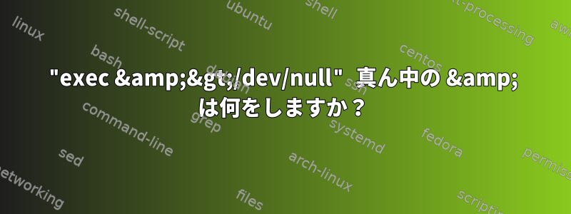 "exec &amp;&gt;/dev/null" 真ん中の &amp; は何をしますか？