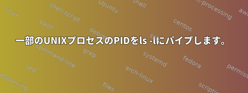 一部のUNIXプロセスのPIDをls -lにパイプします。