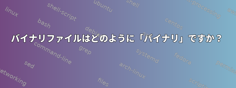 バイナリファイルはどのように「バイナリ」ですか？