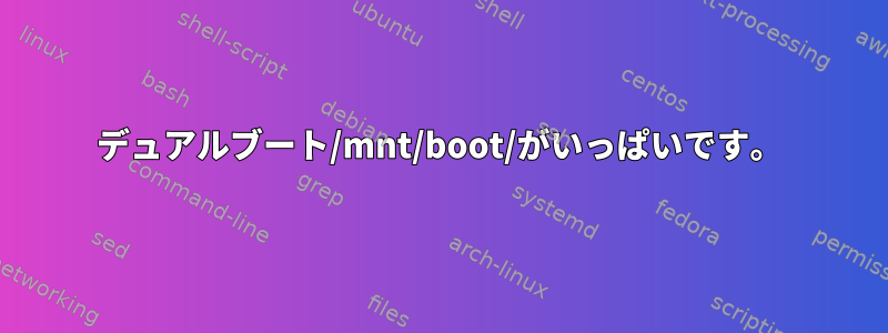 デュアルブート/mnt/boot/がいっぱいです。