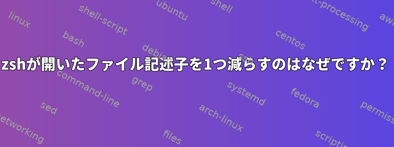 zshが開いたファイル記述子を1つ減らすのはなぜですか？