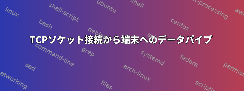 TCPソケット接続から端末へのデータパイプ