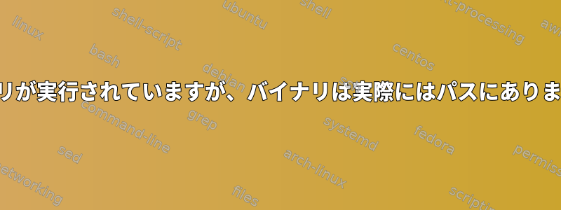 バイナリが実行されていますが、バイナリは実際にはパスにありません。