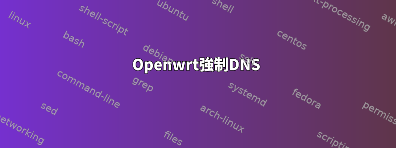 Openwrt強制DNS