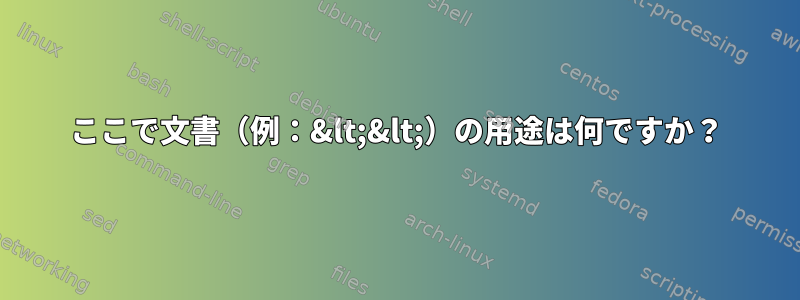 ここで文書（例：&lt;&lt;）の用途は何ですか？