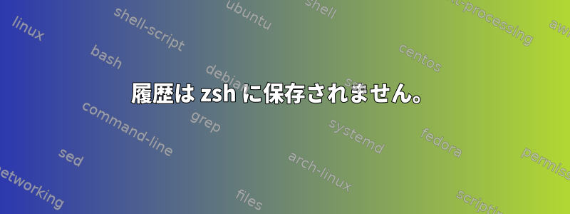 履歴は zsh に保存されません。