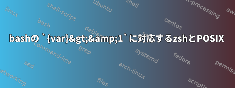 bashの `{var}&gt;&amp;1`に対応するzshとPOSIX