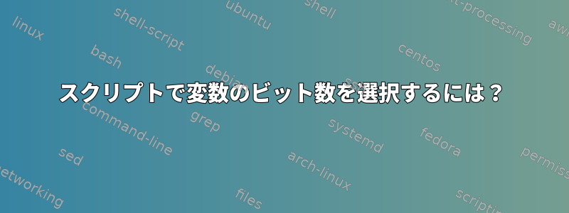 スクリプトで変数のビット数を選択するには？