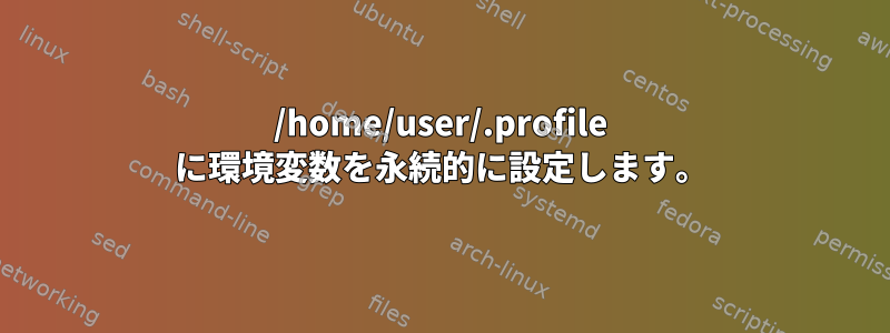 /home/user/.profile に環境変数を永続的に設定します。