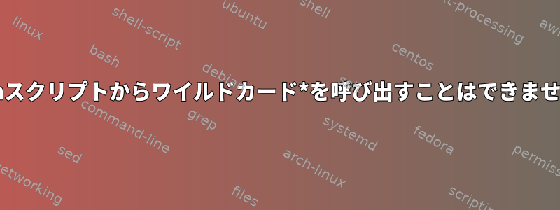 Bashスクリプトからワイルドカード*を呼び出すことはできません。