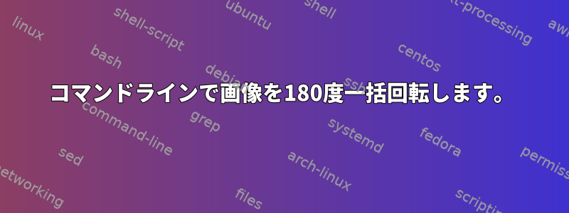 コマンドラインで画像を180度一括回転します。