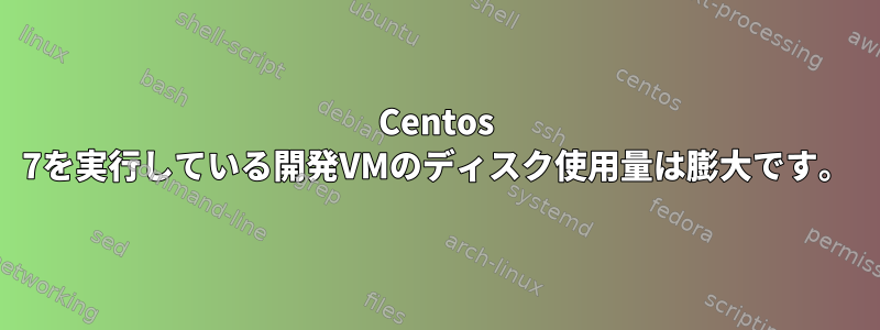 Centos 7を実行している開発VMのディスク使用量は膨大です。