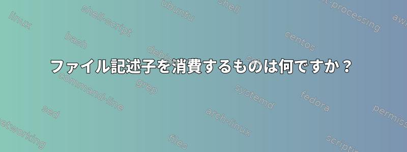 ファイル記述子を消費するものは何ですか？