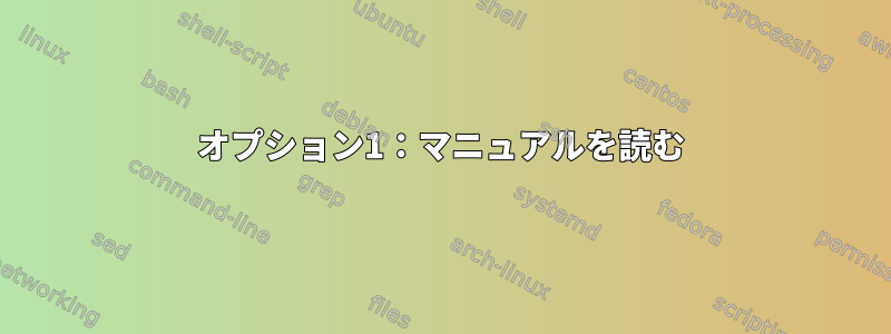 オプション1：マニュアルを読む