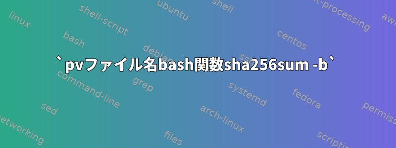 `pvファイル名bash関数sha256sum -b`