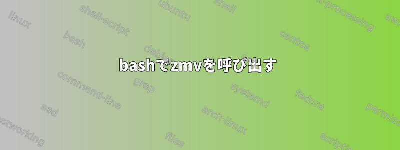 bashでzmvを呼び出す