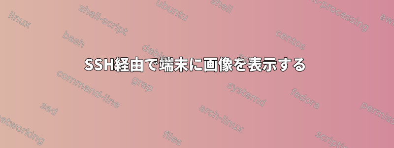 SSH経由で端末に画像を表示する