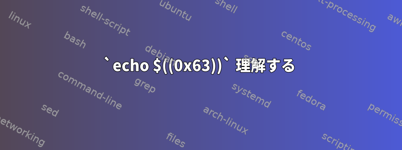 `echo $((0x63))` 理解する