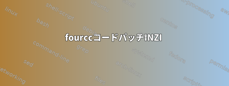 fourccコードパッチINZI