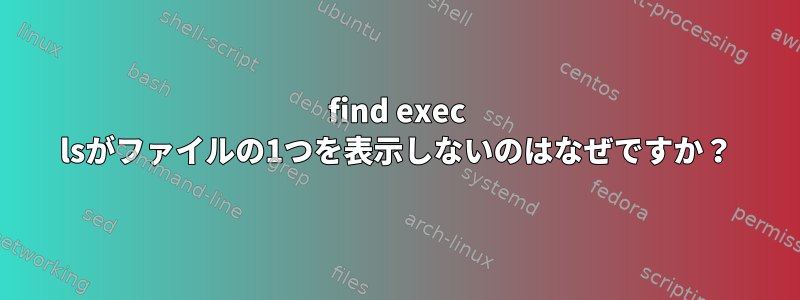 find exec lsがファイルの1つを表示しないのはなぜですか？