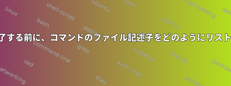 コマンドが完了する前に、コマンドのファイル記述子をどのようにリストできますか？