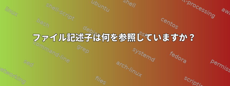 ファイル記述子は何を参照していますか？