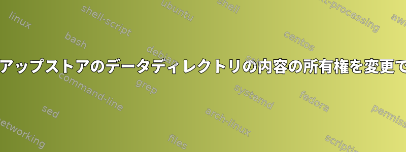 borgバックアップストアのデータディレクトリの内容の所有権を変更できますか？