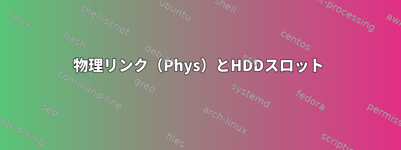 物理リンク（Phys）とHDDスロット