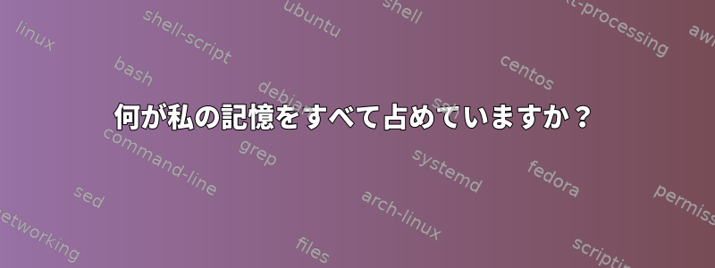 何が私の記憶をすべて占めていますか？