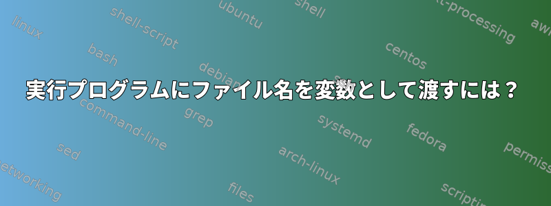 実行プログラムにファイル名を変数として渡すには？