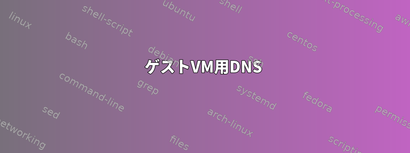 ゲストVM用DNS