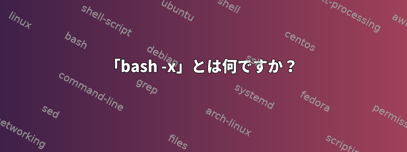 「bash -x」とは何ですか？