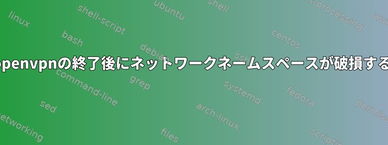 openvpnの終了後にネットワークネームスペースが破損する