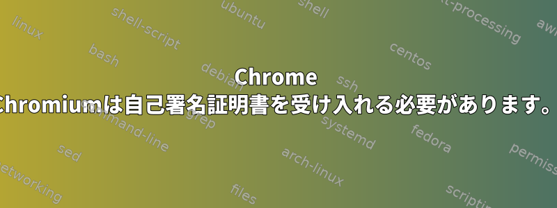 Chrome Chromiumは自己署名証明書を受け入れる必要があります。