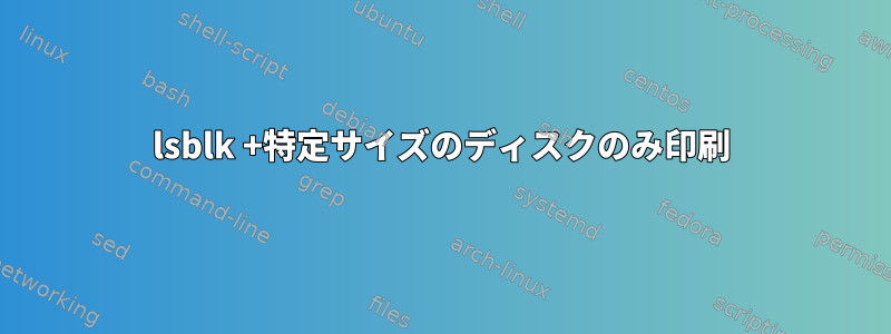 lsblk +特定サイズのディスクのみ印刷